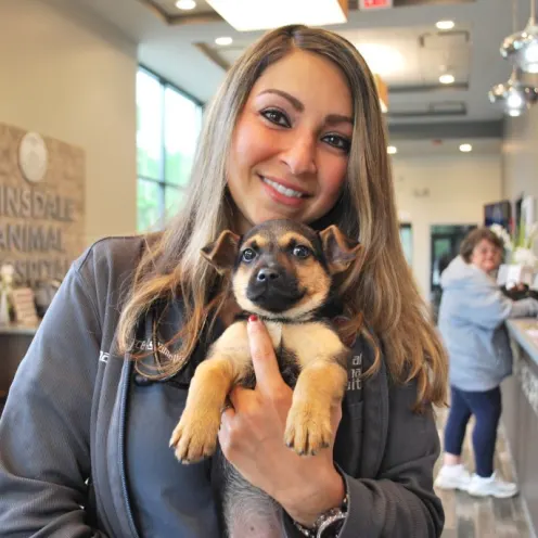 Veterinarian holding a puppy